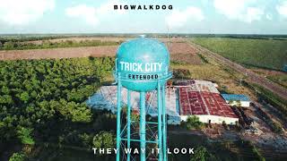 BigWalkDog  The Way It Look Official Audio [upl. by Afrika]