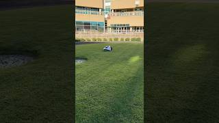 Robots mowers amp ryegrass overseeding at Remington Park [upl. by Crane]