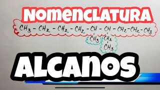 Cómo NOMBRAR ALCANOS 🧬⚗ Nomenclatura IUPAC 🚩 [upl. by Nwahsad814]