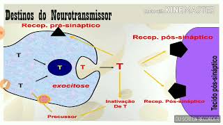 Influência dos Neurotransmissores e Medicamentos na DepressãoSistemas Reguladores 20181 [upl. by Drahcir]