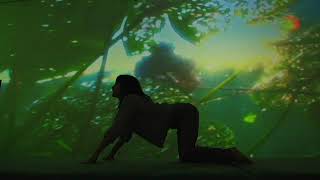 Elena Brower at Pipilotti Rist MoMA [upl. by Nakhsa]