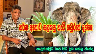 Nadungamuwa Raja Ashoka Dangolla නැදුන්ගමුවේ රාජා සතු මානුෂීය ගුණාංග පොඩි රාජා ලොකු රාජා වටින අය [upl. by Selina]