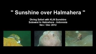 Sunshine over Halmahera  Diving Safari  2012 [upl. by Weiner184]