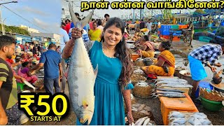 Kasimedu Fish Market💥 Sema Fresh Fish market fish [upl. by Gomer]