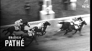 Kentucky Derby 1964 [upl. by Tteve]