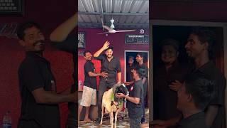 Laddu Mutya Shorts Rehearsal by Ashar Merchant at M Pathan Goat Farm Mumbai [upl. by Daren]