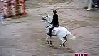 hoys  148cm showjumper of the year [upl. by Lucilia680]