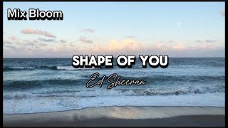 Ed Sheeran  Shape Of You Lyrics [upl. by Westmoreland]