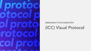 Immunocytochemistry ICC Visual Protocol [upl. by Clougher]