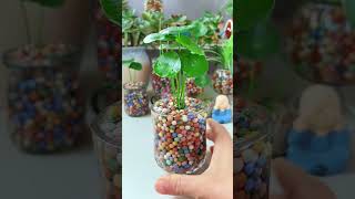 Amazing planting flower in cup so beautiful garden diy flower flowerplanter plantingideas [upl. by Ulla]