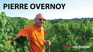 PIERRE OVERNOY  A Natural Wine Legend from Jura [upl. by Enaid]