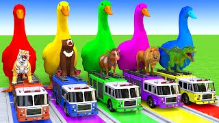 5 Giant Duck CartoonCowElephantTigerLionDinosaurPaint Wild Animals Crossing Fountain Animation [upl. by Kelcie47]