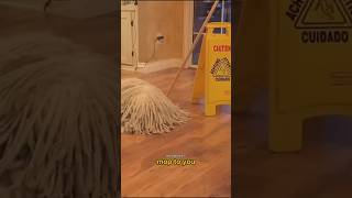 Is That a Mop or a Dog [upl. by Fawn461]