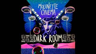 Molinette Cinema  Dark Room Audio [upl. by Lever]