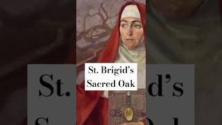 did St Brigid build her Kildare monastery on the site of a sacred Celtic grove folklore druids [upl. by Haisej956]