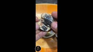 Street Food in the Philippines Eating Duck Egg balut [upl. by Ardnahc]