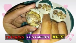 Balot Cracking Duck Egg 🦆🥚🥚🐣🐣ASMR  shortslive shortsfeed trending [upl. by Kreindler]