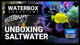 Unboxing the MARINE X 1104 Saltwater Aquariums  Episode 172 [upl. by Tenn]