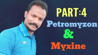 Petromyzon and Myxine  Part 4 Comparision By Anand sir [upl. by Aimit]