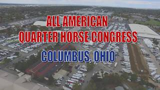 Quarter Horse Congress Events [upl. by Roque]