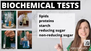 Alevel BIOCHEMICAL TESTS test for starch reducing sugars nonreducing sugars proteins lipids [upl. by Ladnek506]