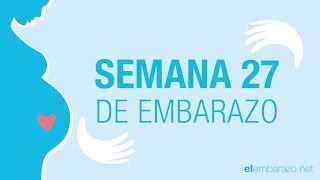 Semana 27 de embarazo  27 semanas de embarazo  El embarazo semana a semana [upl. by Laenaj]