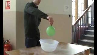 Freezing a Balloon with Liquid Nitrogen [upl. by Elleiram]