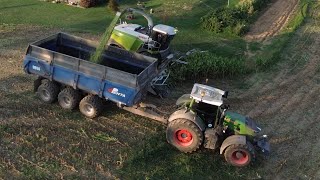 Claas 990 choping into penta DB50 wagons [upl. by Suired214]