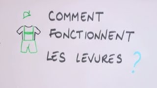 Comment fonctionnent les levures [upl. by Ellerehc]