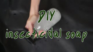 HOW TO MAKE INSECTICIDAL SOAP  houseplant pest control diy [upl. by Shiau]