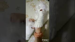 Crochet gloves 🧤جوانتي كروشية هاندميد crochet اكسبلور [upl. by Singh760]