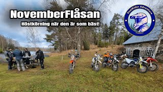 NovemberFlåsan  Husqvarna 701 Enduro KTM 690 Enduro R KTM 500 EXCF Honda CRF250 Rally [upl. by Novit]