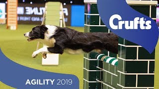 Agility  Championship Final  ​Crufts 2019 [upl. by Aloin]