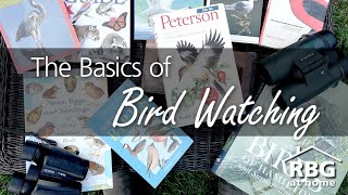 Bird Watching for Beginners [upl. by Ahsenor]