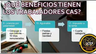 CONTRATO ADMINISTRATIVO DE SERVICIO CAS [upl. by Savior]