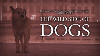 An animal documentary unlike any you have seen before  The Wild Side of Dogs  Full Film [upl. by Saeger]