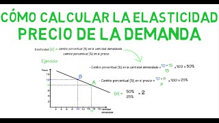 Cómo calcular la elasticidad  Cap 7  Microeconomía [upl. by Plunkett]