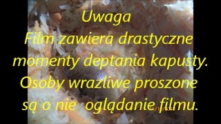 Kapusta kiszona jak zrobić na obiad [upl. by Iveksarap]