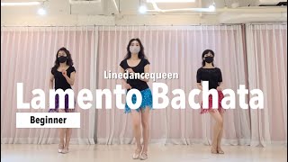 Lamento Bachata Line Dance l Beginner l 라멘토 바차타 라인댄스 l Linedance l 라인댄스퀸 l Lamento Boliviano [upl. by Stover]