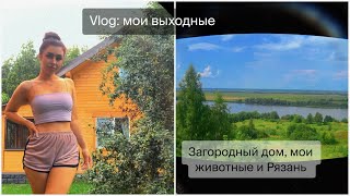 Vlog уехала в Рязань Новый дом и мои животные [upl. by Giarg]