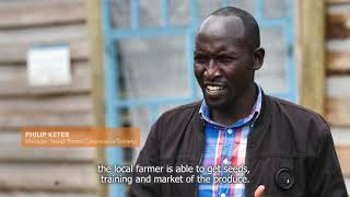 Value chain approach accelerates potato farming in Kenya [upl. by Akienom]