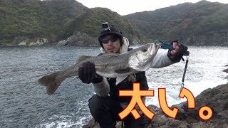 青物が釣れねぇぇ！けどシーバスが釣れた。【ショアジギング】 [upl. by Affay]