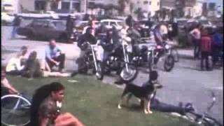 Venice Beach Memories 1971 pt 1 [upl. by Jadda190]