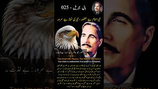 Tu Abhi Reh Guzr Mein Hai QaideMaqam Se Guzr  BaleJibril 025  Shayari allamaiqbal iqbaliyat [upl. by Venator]