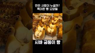 누가 만든게 궁금해지는 특이한 빵🍞jpg [upl. by Aidyl]