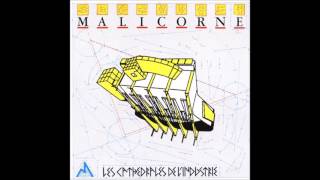 Malicorne Les Cathédrales de lIndustrie full album [upl. by Innavoig661]