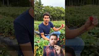 🍓strawberry farms Australia 😋 dhruvratheeytshorts foodlover trending farming [upl. by Krein]