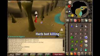 3njoylumby Bot killing  Antiluring  Barrows OSRS [upl. by Nyliahs]