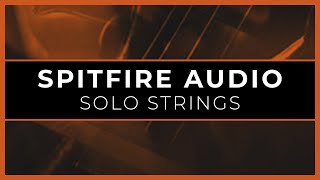 Alex Niedt  No Longer Home Spitfire Solo Strings Demo [upl. by Egreog880]