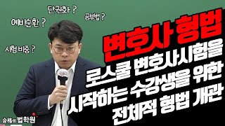 변호사시험 홍형철 변호사의 로스쿨 형법 공부법 출제비중 정리 교재정리 방법 설명OT [upl. by Nor]